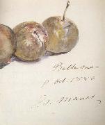 Edouard Manet Lettre avec trois prunes (mk40) oil painting picture wholesale